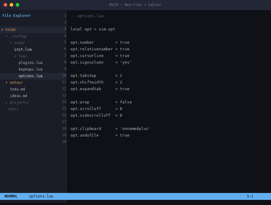 Neo-tree のファイルツリーと editor の分割表示